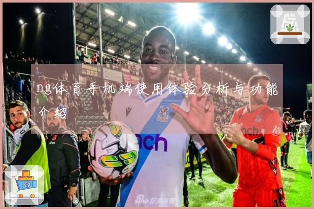 ng体育手机端使用体验分析与功能介绍