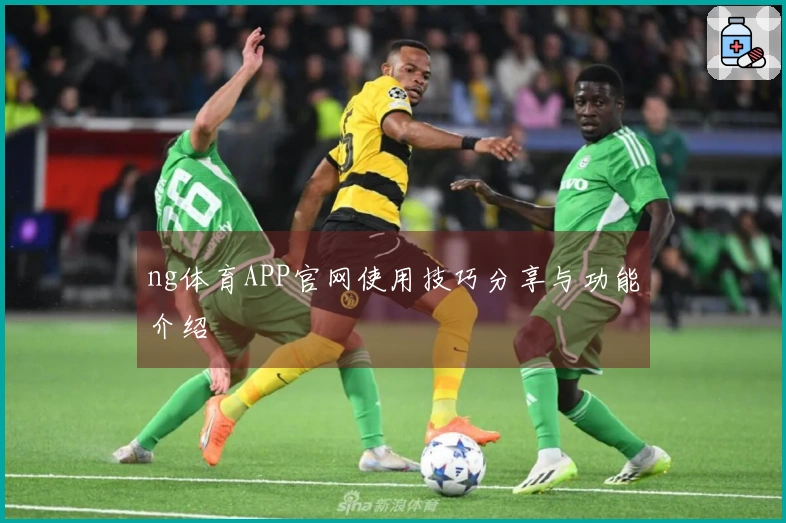 ng体育APP官网使用技巧分享与功能介绍
