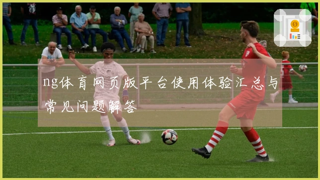 ng体育网页版平台使用体验汇总与常见问题解答