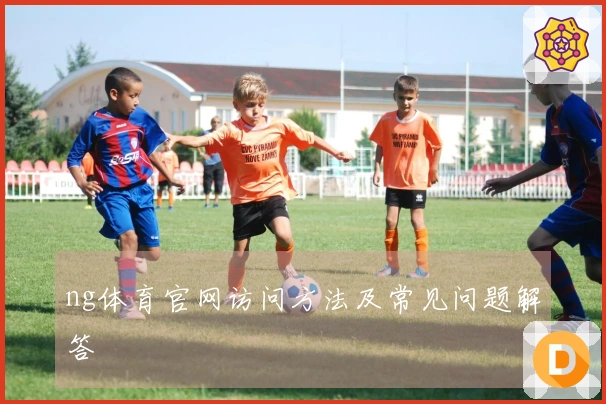 ng体育官网访问方法及常见问题解答