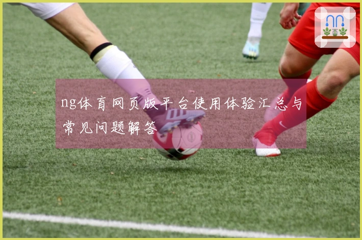 ng体育网页版平台使用体验汇总与常见问题解答
