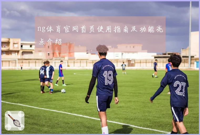 ng体育官网首页使用指南及功能亮点介绍